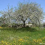 招待所 Landpension Heidi Machold Weißenstadt
